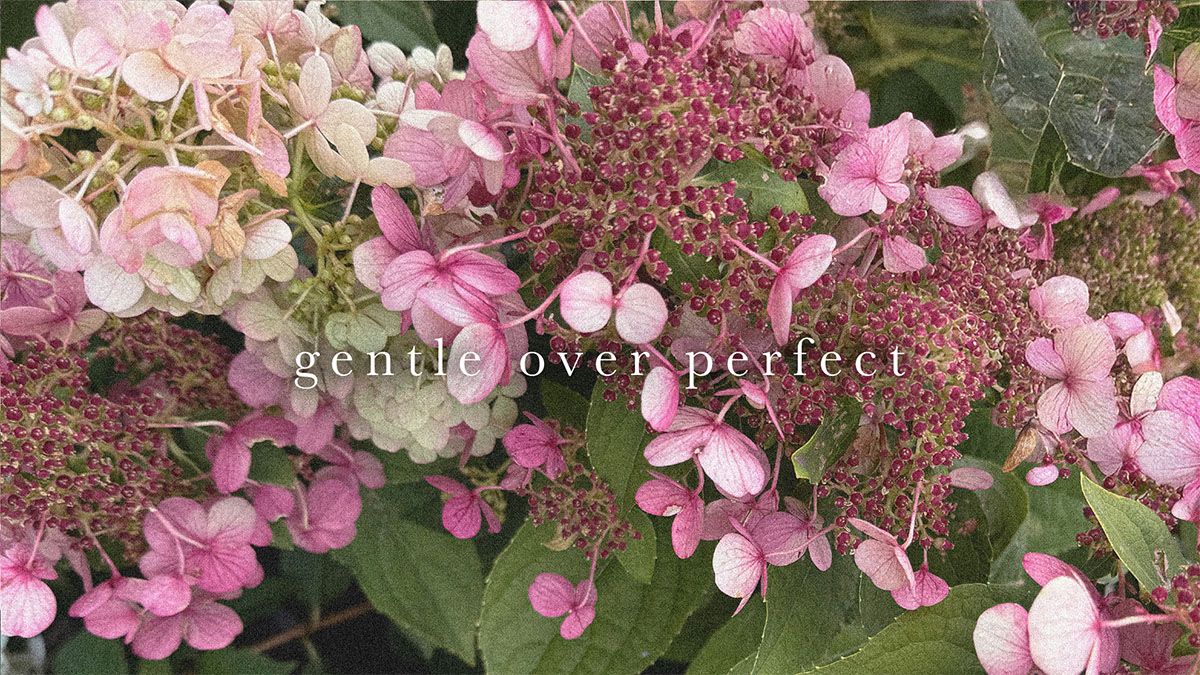 gentle over perfect” text over pink hydrangea flowers — Who Am I? by TOMOKO
