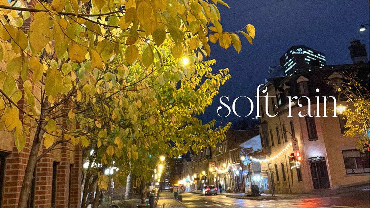 A softly lit rainy street in Québec City — yellow autumn leaves, quiet glow, and gentle reflections